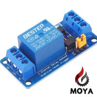 module relay 24V 1 Chanel โมดูรีเลย์ 24 V