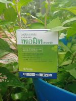 ☘️?เพอมิท(หญ้าแห้วหมูโดยเฉพาะ)ต้องเพอมิท?☘️ใช้หลังวัชพืชงอกน.น4กรัม×6ซอง