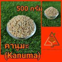 500 กรัม ดินญี่ปุ่น คานูมะ (Kanuma)