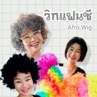 เลือกสีได้ (1 อัน) วิกแอฟโฟร่ วิก แอฟโฟร่ วิกผมฟู วิกผมหยิก วิกเงาะ afro fancy wig m24