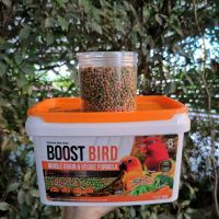 BOOST BIRD WHOLE GRAIN &amp; VEGGIE FORMULA อาหารนกสูตรพิเศษ ผสมธัญพืชและผัก (ขนาดทดลอง 120 g)