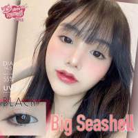 คอนเเทคเลนส์ Kittykawaii Bigseashell black (dia14.5) สีดำ