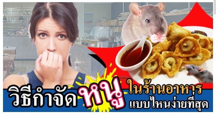 สเปรย์ไล่หนูกัดสายไฟรถ-นกพิราบกวนใจ-แมลงขึ้นบ้าน-งูเข้าบ้าน-จิ้งจก-ตุ๊กแก