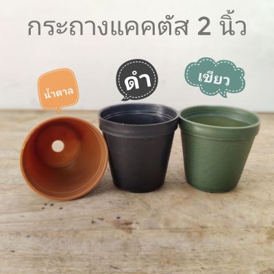 กระถางแคคตัส กระถางต้นไม้ 2 นิ้ว