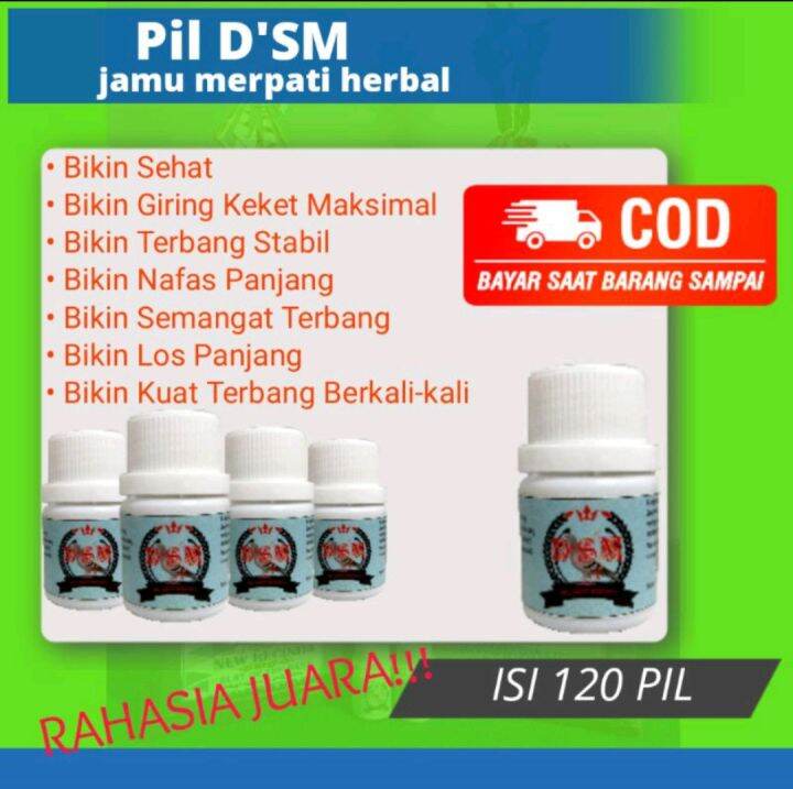 Pil Dsm Jamu Burung Merpati Pill D Sm Burung Dara Lazada Indonesia