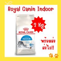 Royal Canin indoor 2kg อาหารแมว อายุ 1-7ปี สำหรับแมวเลี้ยงในบ้าน
