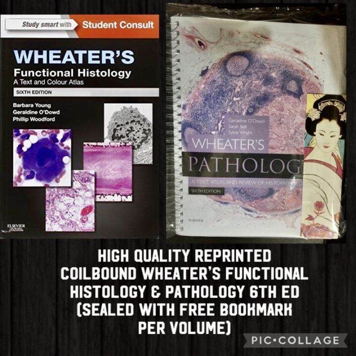 Wheater’s Functional Histology And Pathology 6th Edition Histo Patho ...