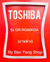 ขอบยางตู้เย็น TOSHIBA รุ่น GR-RG66KDA (บานล่าง)