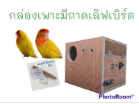 กล่องเพาะถาดนกเลิฟเบิร์ดมีถาด