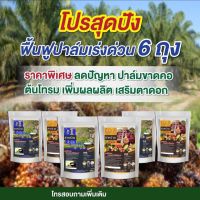 ปุ๋ย  โปรสุดคุ้ม6ถุง ฟื้นฟูปาล์มเร่งด่วน อาหารพืช คิวแพลนท์ Qplant สูตร 1,2ของแท้ 100% สาหร่ายฮิวมิค ปุ๋ยปาล์ม ปุ๋ยทุเรียน ใส่พืชเพิ่มผลผลิต ช่วยบำรุงรากต้นใบให้มีประสิทธิภาพมากยิ่งขึ้น