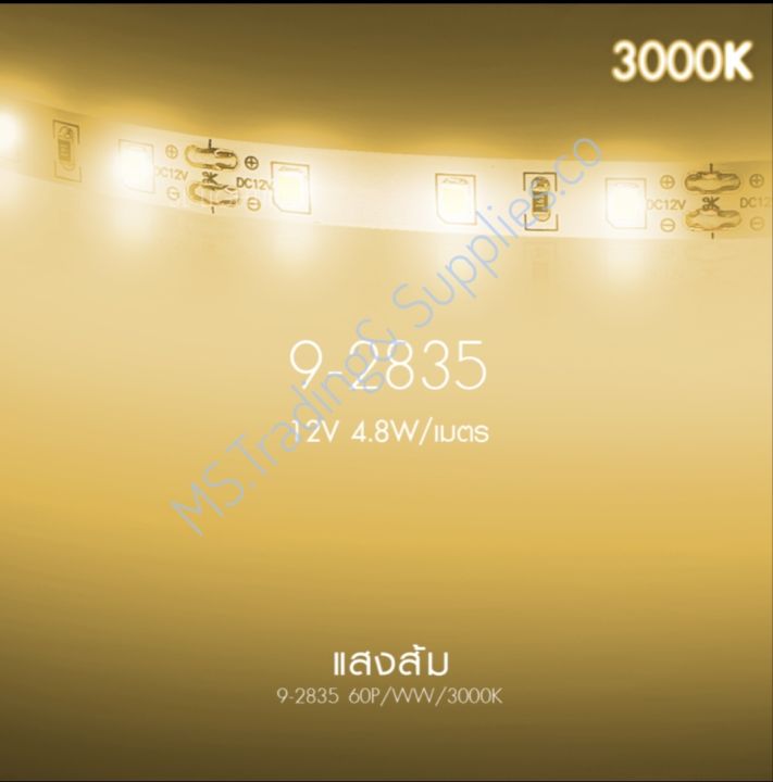 sl-lighting-9-2835-60p-led-ribbon-strip-light-ไฟเส้นยาว-5-เมตร-sl-9-2835-120p-strip-light-sl-9-5050-60a