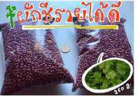 เมล็ดผักชี ถุงใหญ่ 250 กรัม  เก็บได้นาน 2 ปี ถุงละ 80 บาท
?-ปลูกขายก็ได้ แบ่งขายก็ดี ขายง่าย เป็นที่ต้องการของตลาด เก็บเกี่ยวได้ตลอด
#มีบริการเก็บเงินปลายทาง.