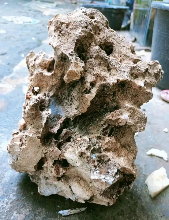 BATU AQUARIUM/AQUASCAPE Batu karang bonsai/karang gunung /3kg