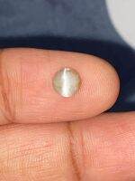 คริสโซเบอริล แคทอายธรรมชาติ 1.06cts ทรงกลม 5 มม 1.06cts natural chrysoberyl catseye 5mm round