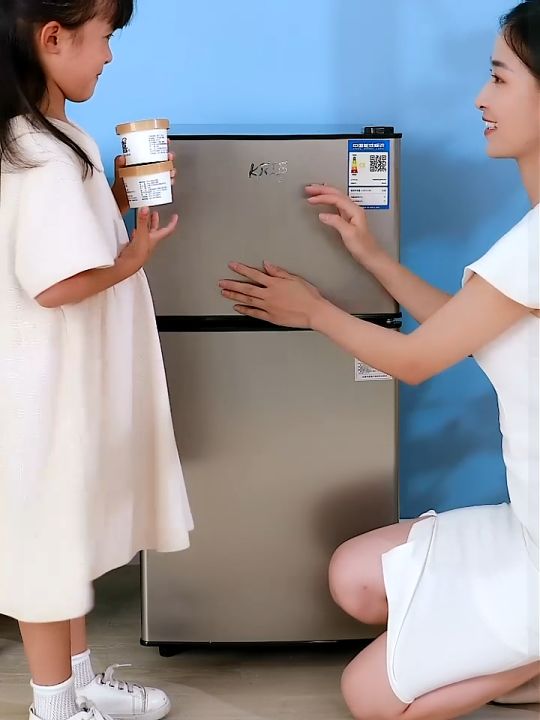 inverter mini fridge