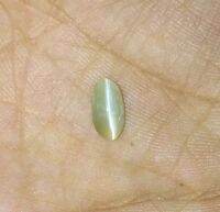 คริสโซเบอรีล แคทอายธรรมชาติ 1.37 กะรัต 8x4mm วงรี 1.37cts natural chrysoberyl catseye 8x4mm oval