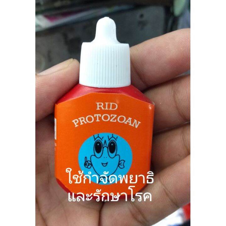 ผลิตภัณฑ์สัตว์น้ำ-rid-12ml