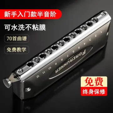12-Hole Chromatic Scale Non-Mucosal Harmonica Adult Beginner Beginner's  Entry Playing Musical Instrument
