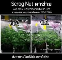 Scrog Net ตาข่าย ตาข่ายปลูกพืช ตาข่ายในร่ม ตาข่ายพืชสมุนไพร ตาข่ายปลูกต้นไม้ ตาเล็ก 6 ซม./cm