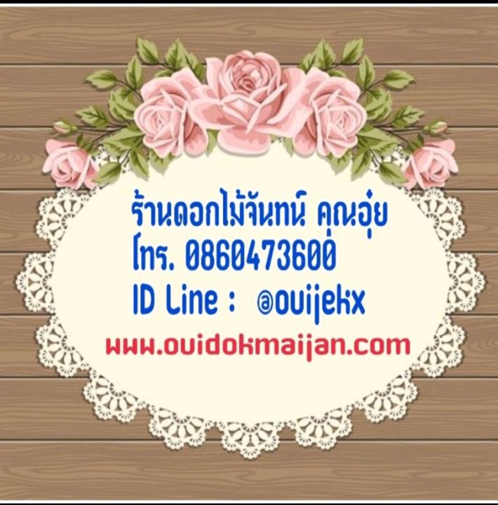 กระดาษเรียบ-สีขาวปอนด์-กระดาษหนา-60-แกรม-ใช้สำหรับตัดกลีบดอก-และตัดทำไส้ดอกไม้