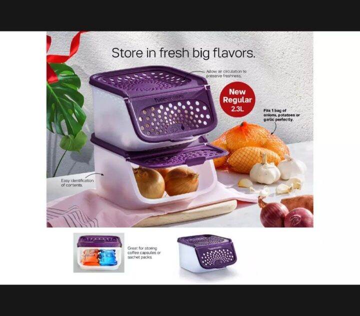 TUPPERWARE GARLIC KEEPER 2.3LITER (PURPLE) Lazada