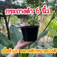 กระถางดำ 6 นิ้ว กระถางต้นไม้ กระถางพลาสติกเนื้อหนาอย่างดี