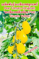 เมล็ดพันธุ์  มะเขือเทศลูกแพร์ Pear  Tomato (Original)  *มะเขือเทศสีเหลือง Pear  Tomato  Yellow สายพันธุ์ OP จำนวน100เมล็ด