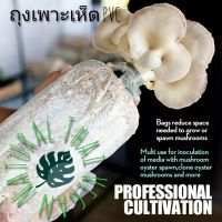 Mushroom Bag 50pcs Fot Grow Mushroom at Home High Temperature PVC Bag edible Fungus cultivation Horticultural Planting Bag ถุงเพาะเห็ดพีวีซี ถุงปลูกเห็ดระบายอากาศ ถุงเพาะเห็ดอย่างดี ปลูกได้ในบ้าน