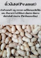 ถั่วลิสง(Peanut) เกรดคนกินได้ สำหรับนก กระรอก แพรี่ด็อกและวัตว์ฟันแทะ(แบ่งขายแบบ500กรัม)