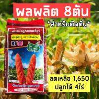 พันธุ์ข้าวโพดเลี้ยงสัตว์ *สำหรับตัดต้นสด* อายุสั้น75วัน ผลผลิต8ตันต่อไร่ รับประกัน