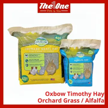  Oxbow Animal Health Orchard Grass Hay - All Natural Grass Hay  for Chinchillas, Rabbits, Guinea Pigs, Hamsters, Gerbils & Other Small Pets  - Grown in the USA- Fiber Rich- 40