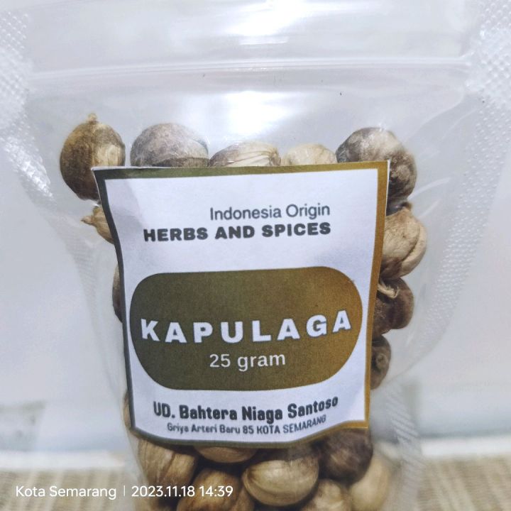 Kapulaga Bumbu Rempah Asli Indonesia Lazada Indonesia 2716