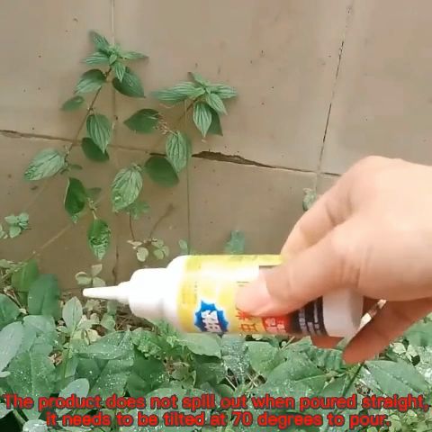 Anay termite killer ant medicine, termite killer powder(20g) One ...