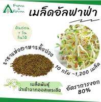 Form a Farm | ฟอร์มอะฟาร์ม เมล็ด อัลฟาฟ่า Alfalfa 10g. 1,200 เมล็ด ปลูกต้นอ่อน ไมโครกรีน "ราชาอาหารทั้งปวง" เมล็ดพันธุ์ นำเข้าจากออสเตรเลีย ปลูกผักกินเอง เมล็ดอัลฟาฟ่า