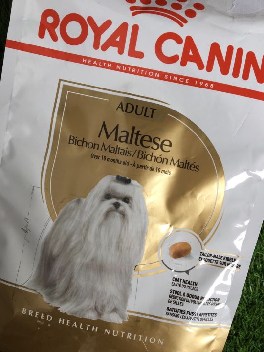 royal-canin-bichon-maltese-adult-1-5-kg
