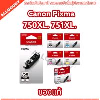 Canon ink PGI-750XL / CLI-751XL