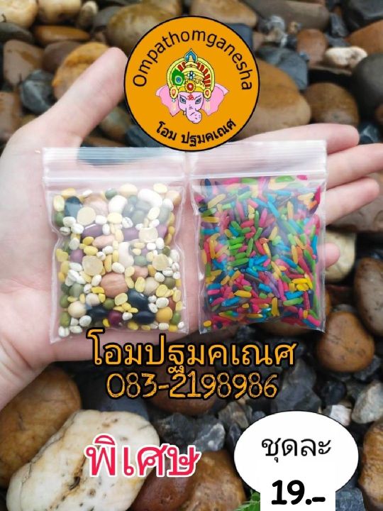 ข้าวสาร9สี-ธัญพืช9อย่าง-ของถวายพระพิฆเนศ-ข้าวสารธัญพืช-ถวายองค์เทพ