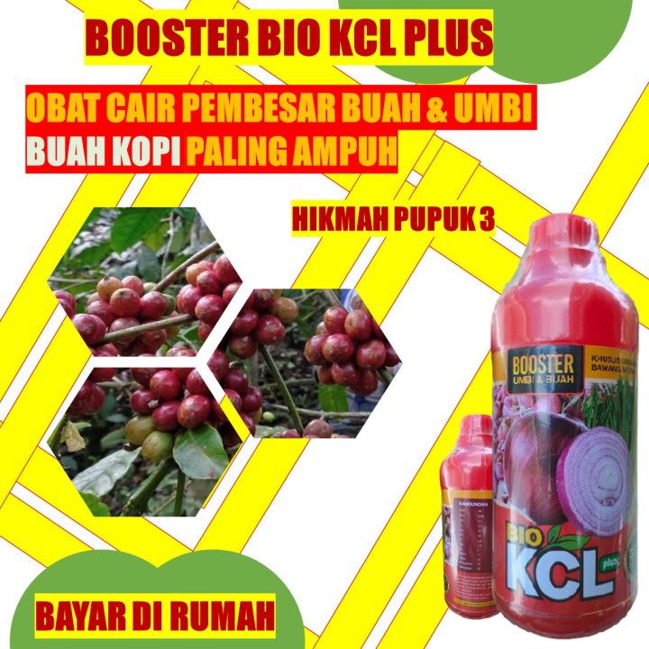 PUPUK KOPI BOOSTER TANAMAN PERKEBUNAN BUAH PALING BAGUS BIO KCL Plus