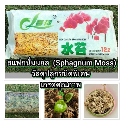 สแฟกนั่มมอส ( Sphagnum moss) แพค 12 ลิตร เกรดคุณภาพ