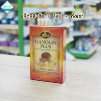 กาโนลิน พลัส  GANOLIN PLUS  สารสกัดเห็ดหลินจือผสมสารสกัดโสมและถั่งเช่า บรรจุ 30 แคปซูล