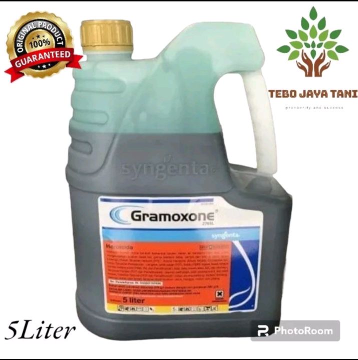 Obat Rumput Gramoxone 5 Liter Gramoxone 276sl 5 Liter Herbisida Racun