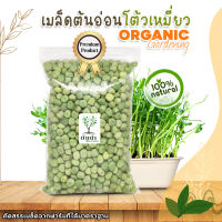 เมล็ดต้นอ่อนโต้วเหมี่ยว(ต้นอ่อนถั่วลันเตา) Organic100% เมล็ดพันธุ์ผัก เมล็ดสำหรับเพาะงอกพร้อมปลูก ต้นอ่อนโต้วเหมี่ยว