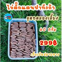 ?ไข่ตั๊กแตนปาทังก้าโมจีนไข่ 60กรัม 299฿‼️