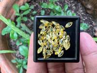 เพชร CZ สี COLOR ROYAL GOLD YELLOW DIAMOND เพชรรัสเซีย เพชร CZ พลอย ขนาด 6X3 มิล ( MM)10 Pcs( 10 เม็ด)(ความยาว xความกว้าง )