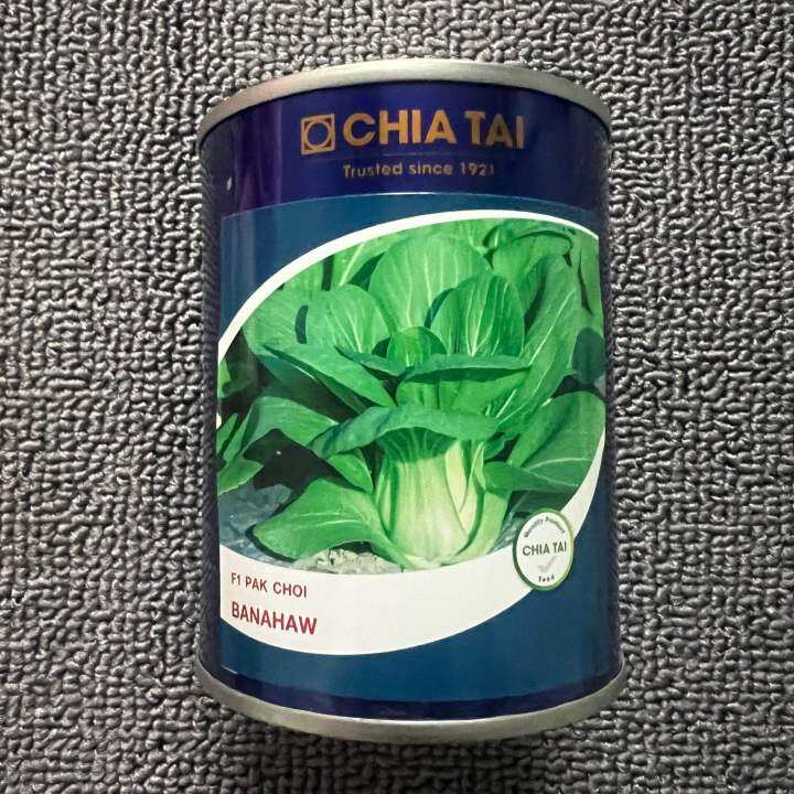 BANAHAW F1 CHIA TAI SEED HYBRID PAKCHOI CHINESE PECHAY VEGETABLE SEEDS ...