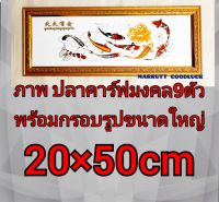 ภาพปลาคาร์ฟ 9 ตัวพร้อมกรอบขนาดใหญ่กว้าง 20 cm ยาว 50 เซนติเมตรภาพมงคลของขวัญมงคลภาพมงคลปรับฮวงจุ้ย