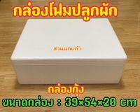 กล่องโฟมปลูกผัก สำหรับปลูกผักไฮโดรโปนิกส์ จุน้ำ 24 ลิตร มือหนึ่ง กล่องหนา 2.5 ซม