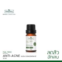 Plantnery Tea Tree Oil Concentrate 10ml.