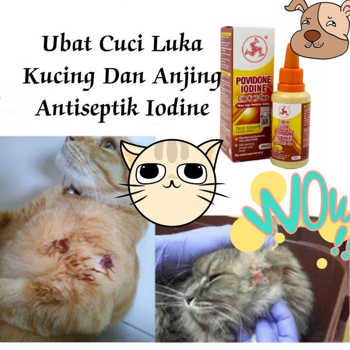 Ubat Cuci Luka Kucing Dan Anjing Iodine 30ml Lazada