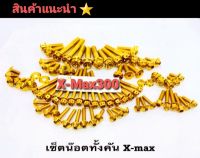 XMax ชุดน๊อตสแตนเลสแท้ทั้งคัน  รุ่น XMax 300   XMax สีทอง